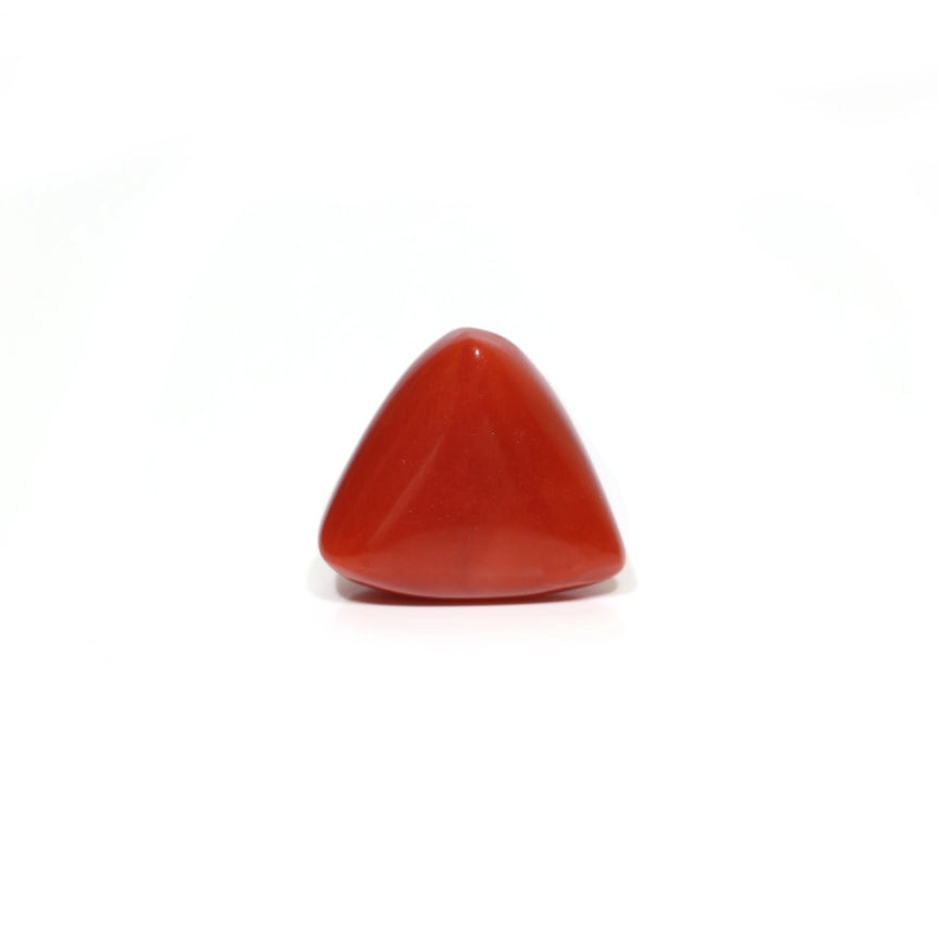 Red Coral - 9.2 Carat