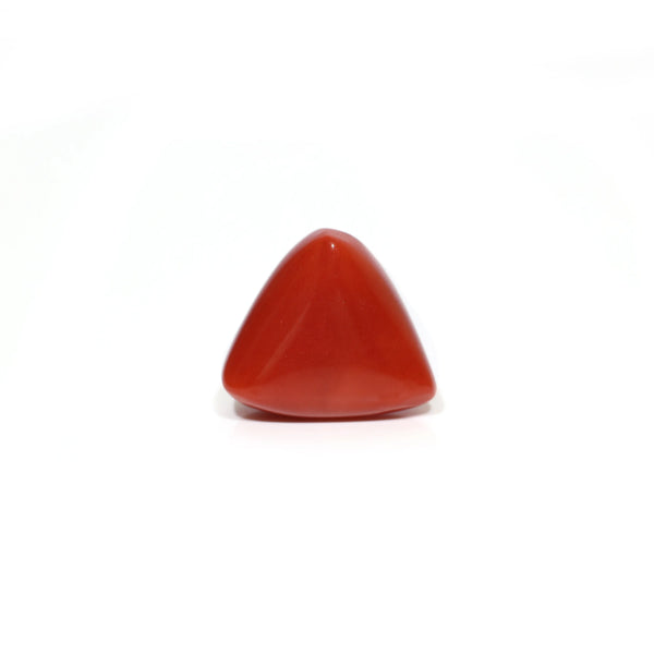 Red Coral - 9.2 Carat