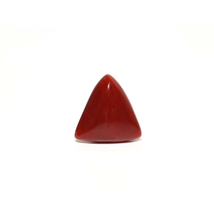 Red Coral - 9.25 Carat
