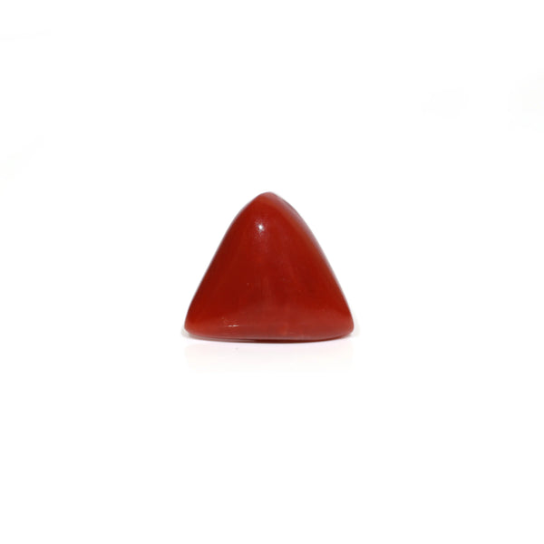 Red Coral - Moonga - 7.6 Carat - Pramogh