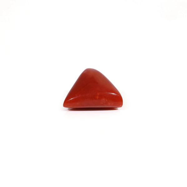 Red Coral - 7.6 Carat