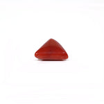 Red Coral - 6.1 Carat