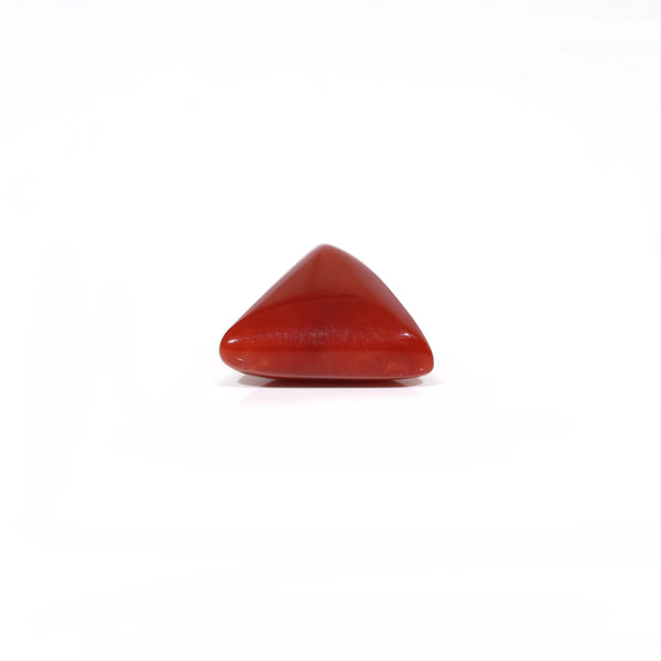 Red Coral - 6.1 Carat