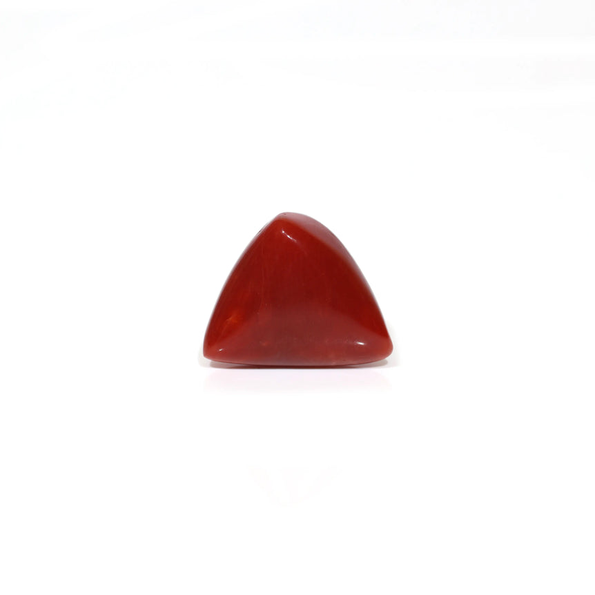 Red Coral - 7.45 Carat
