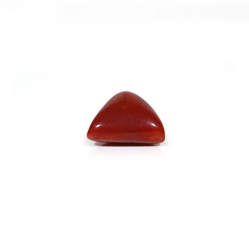 Red Coral - 7.45 Carat