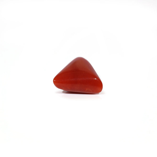 Red Coral - 7.3 Carat