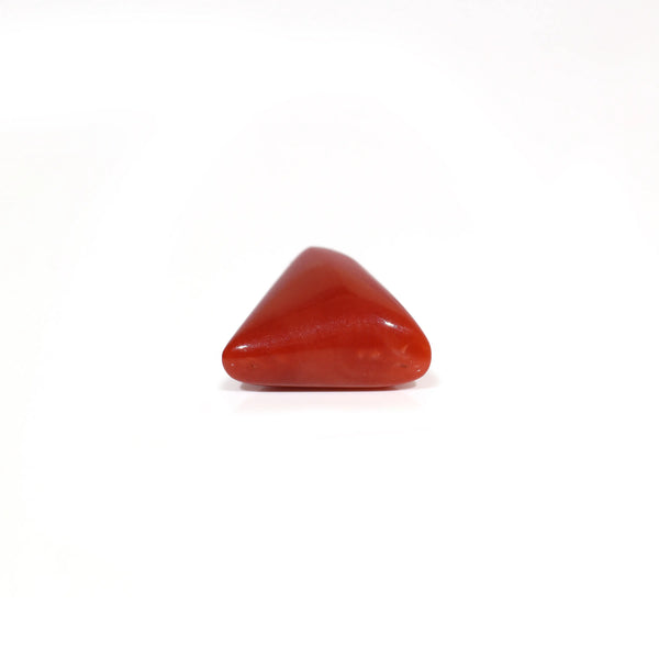 Red Coral - 6.5 Carat