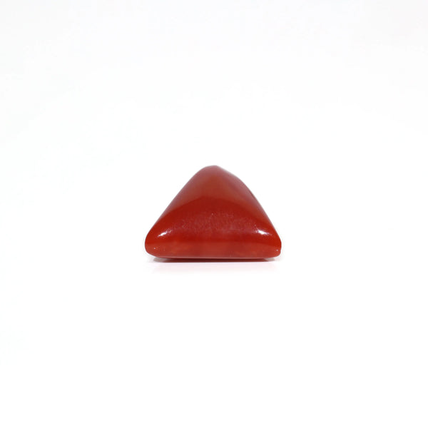 Red Coral - 6.3 Carat