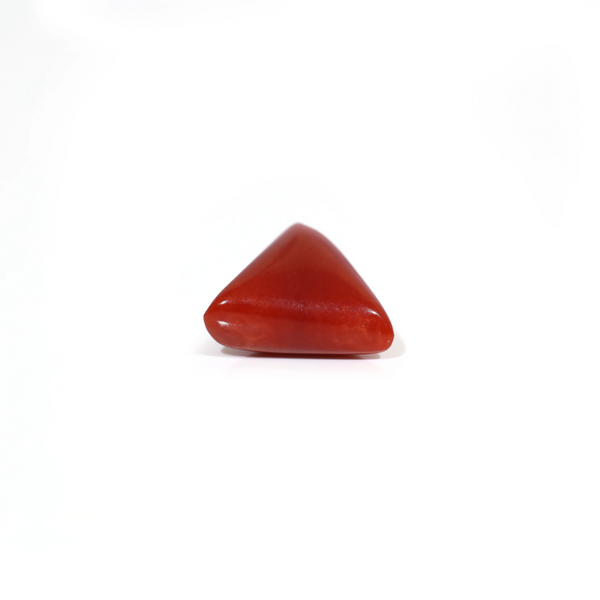 Red Coral - 6.4 Carat