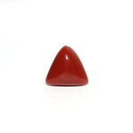 Red Coral - Moonga - 8.1 Carat - Pramogh