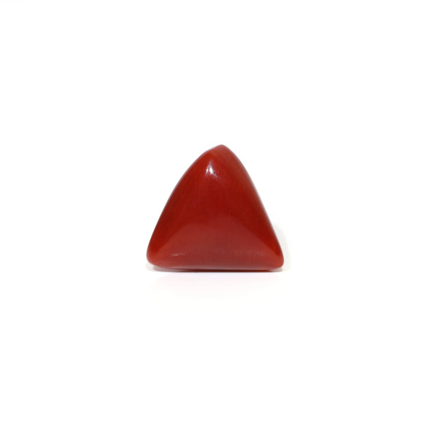 Red Coral - 8.1 Carat