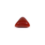 Red Coral - 8.1 Carat