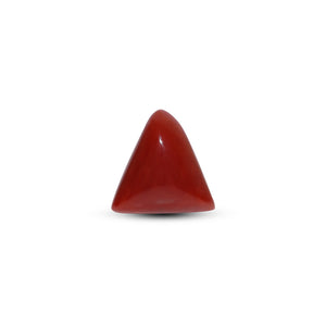 Red Coral - Moonga - 5.95 Carat - Pramogh
