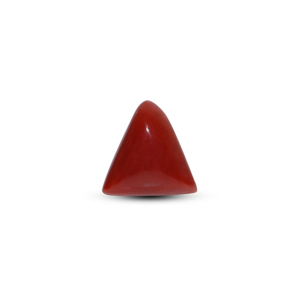 Red Coral - Moonga - 5.95 Carat - Pramogh