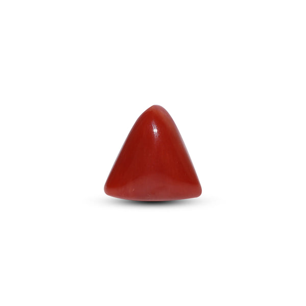 Red Coral - Moonga - 6.45 Carat - Pramogh