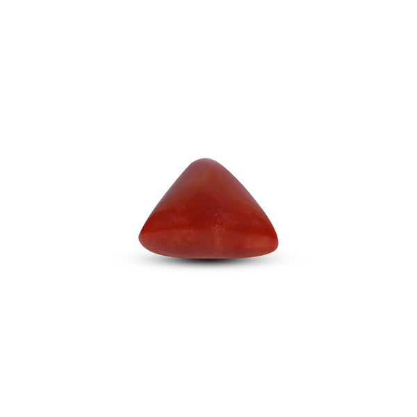 Red Coral - 6.45 Carat