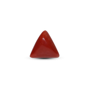 Red Coral - Moonga - 6.3 Carat - Pramogh