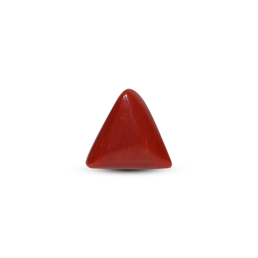 Red Coral - 6.3 Carat