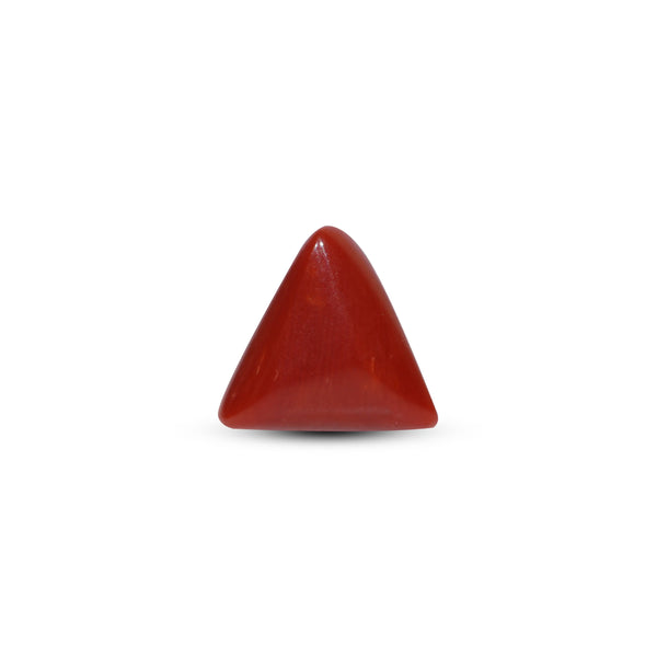 Red Coral - 6.3 Carat