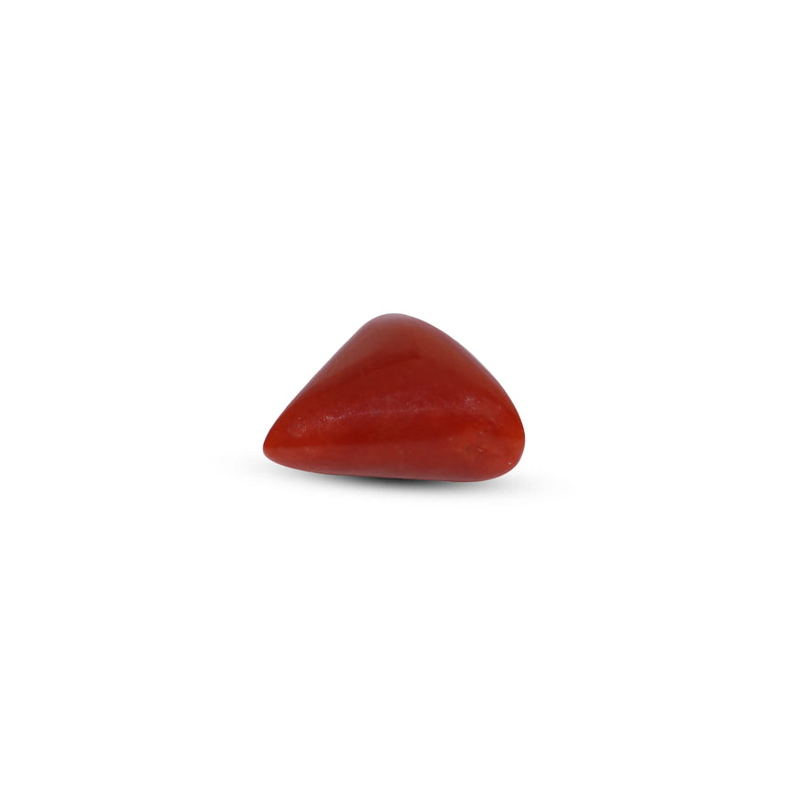 Red Coral - 6.3 Carat