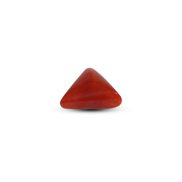 Red Coral - 6.3 Carat