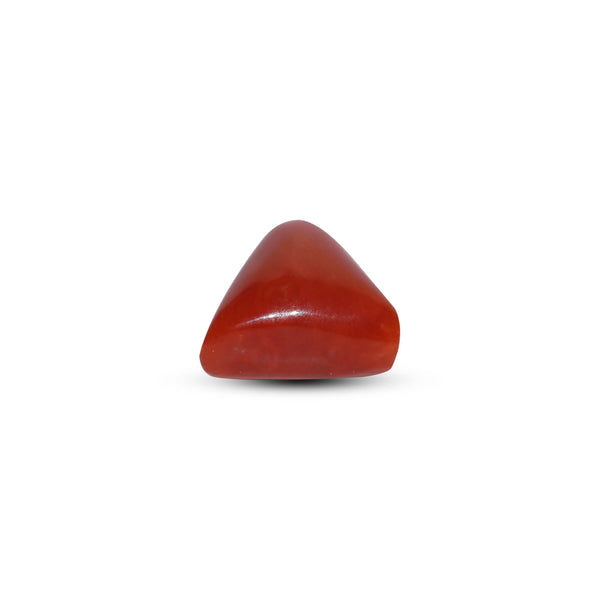 Red Coral - 7.2 Carat