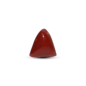 Red Coral - Moonga - 7.2 Carat - Pramogh
