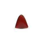 Red Coral - 7.2 Carat