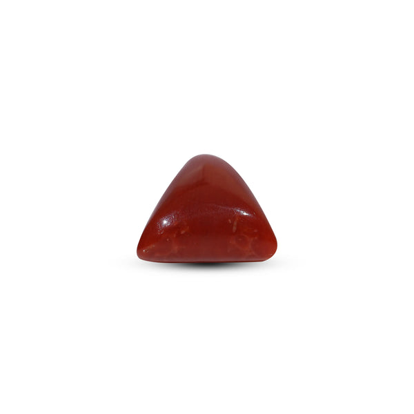Red Coral - 7.2 Carat