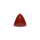 Red Coral - Moonga - 6.15 Carat - Pramogh