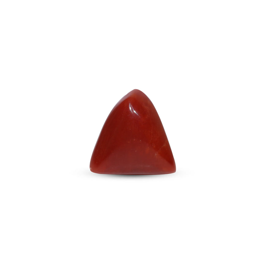 Red Coral - 6.15 Carat