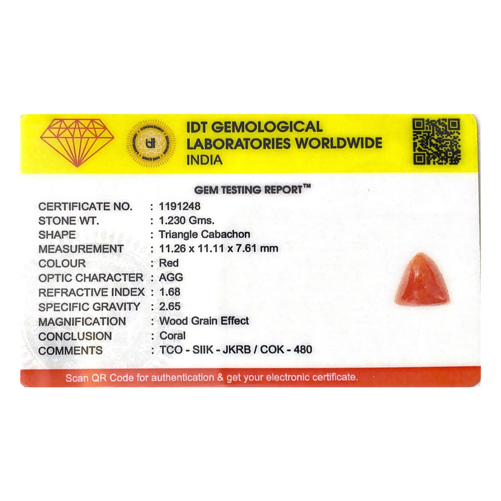 Red Coral - 6.15 Carat