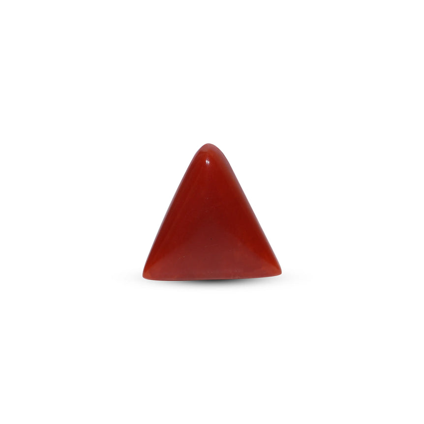 Red Coral - 5.95 Carat