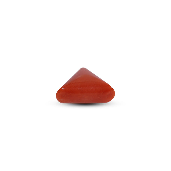 Red Coral - 9.25 Carat