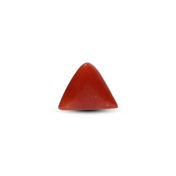 Red Coral - 9.65 Carat