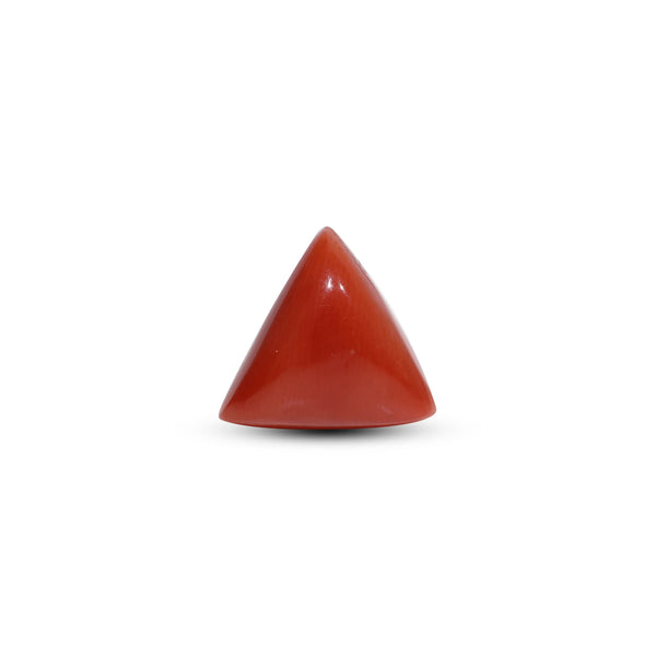Red Coral - Moonga - 8.75 Carat - Pramogh