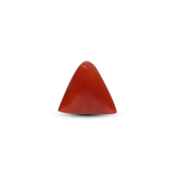Red Coral - 8.5 Carat