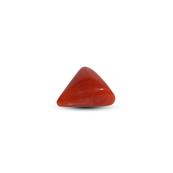 Red Coral - 8.5 Carat