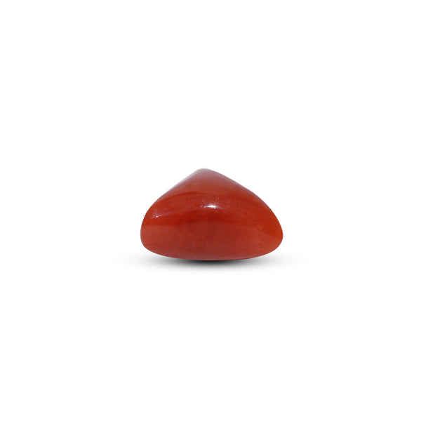 Red Coral - 9.1 Carat