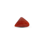 Red Coral - 9.2 Carat