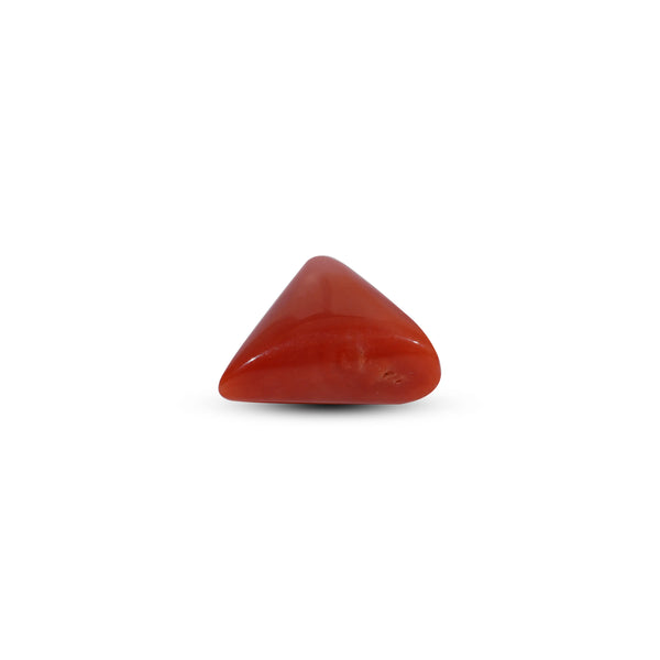 Red Coral - 9.2 Carat