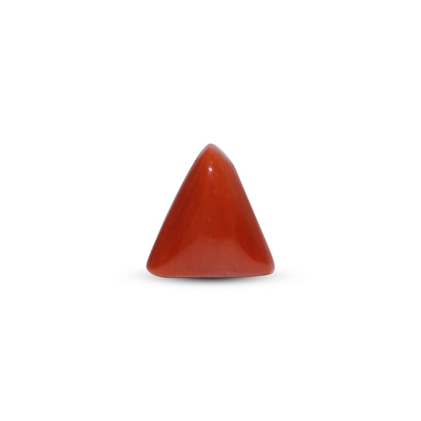 Red Coral - Moonga - 11.7 Carat - Pramogh