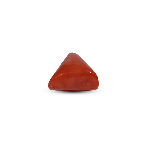 Red Coral - 11.7 Carat