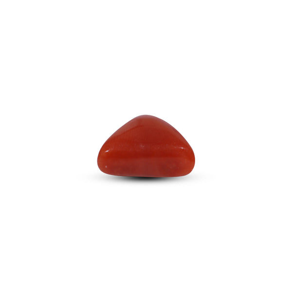 Red Coral - 9.65 Carat
