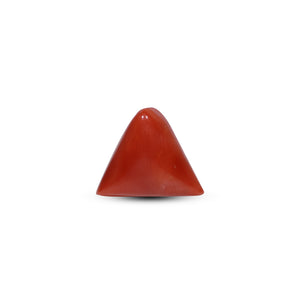 Red Coral - Moonga - 14.15 Carat - Pramogh