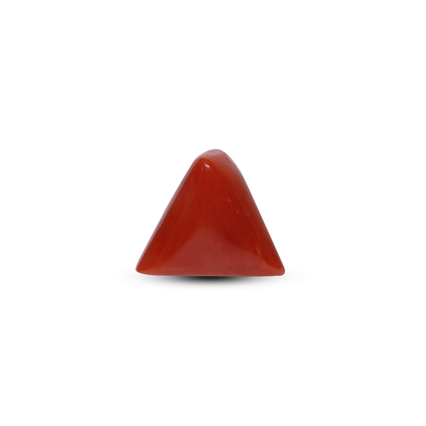 Red Coral - 14.15 Carat
