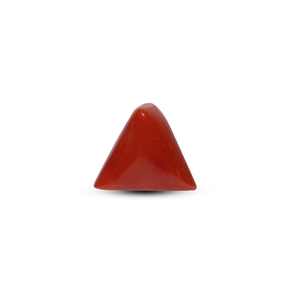 Red Coral - 14.15 Carat