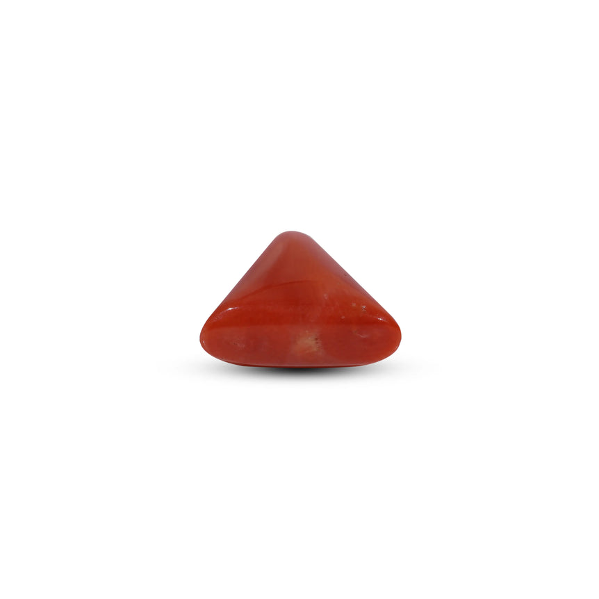 Red Coral - 14.15 Carat