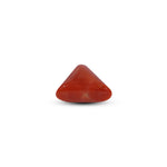 Red Coral - 14.15 Carat