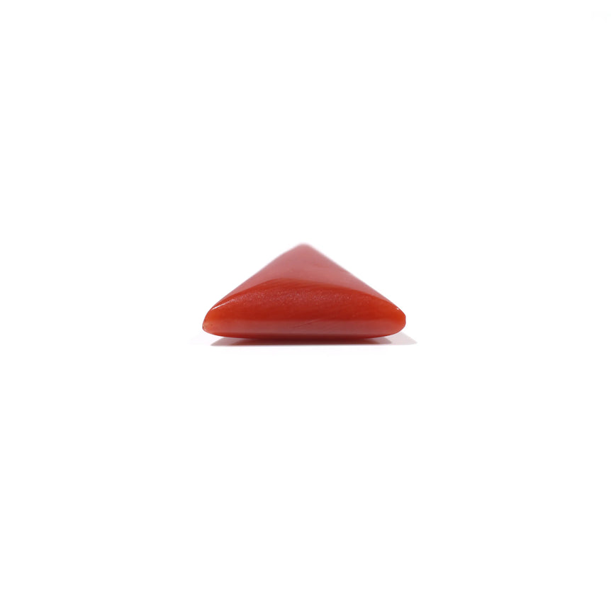 Red Coral - 4.8 Carat